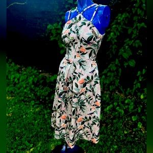 ASOS bird print afternoon midi dress